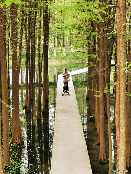 千里莺啼绿映红——第四届“春之声”征稿选登第三期 人像纪实篇·定边农业之声