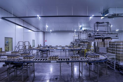 村里的金针菇，智能造——定边农业奏响现代化新乐章