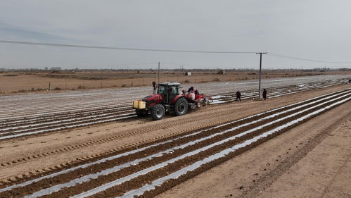 北斗赋能智慧农机，定边四万亩马铃薯春播尽显“科技范”